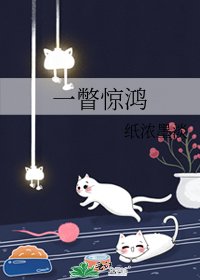 《一瞥惊鸿》